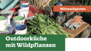 Plakat Outdoorküche mit Wildpflanzen im Mitmachgarten der bgfg